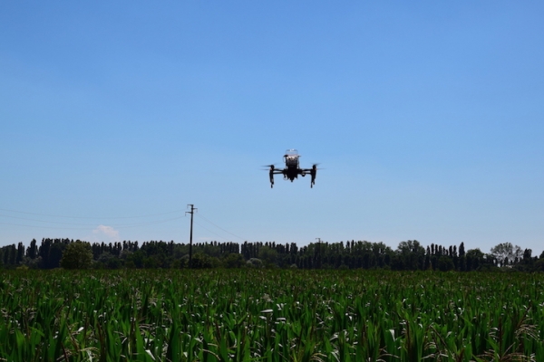 Sempre più droni a difesa delle colture