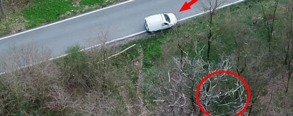 Olgiate, i boschi della droga  Gli spacciatori filmati da un drone