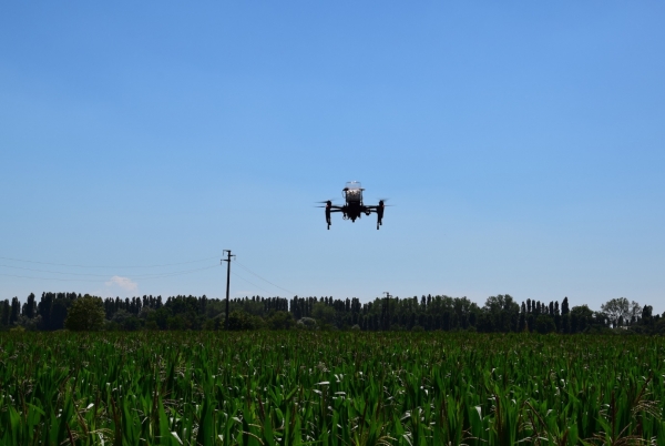 Decollano i droni EMG96 per la lotta alla piralide del mais